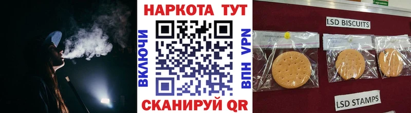 Купить наркотики цена Кудрово Псилоцибиновые грибы  Меф  Гашиш  COCAIN  СК 