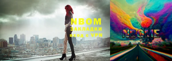 ГАЛЛЮЦИНОГЕННЫЕ ГРИБЫ Гусев