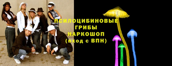 ГАЛЛЮЦИНОГЕННЫЕ ГРИБЫ Гусев