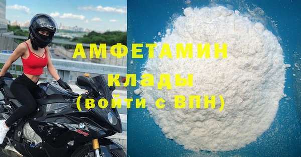 ГАЛЛЮЦИНОГЕННЫЕ ГРИБЫ Гусев