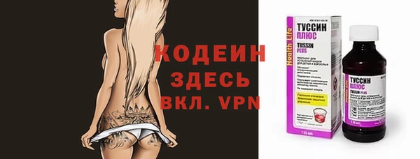 ГАЛЛЮЦИНОГЕННЫЕ ГРИБЫ Гусев