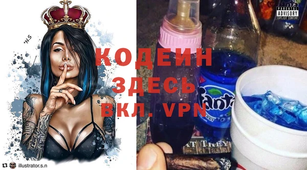 ГАЛЛЮЦИНОГЕННЫЕ ГРИБЫ Гусев