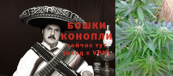 ГАЛЛЮЦИНОГЕННЫЕ ГРИБЫ Гусев