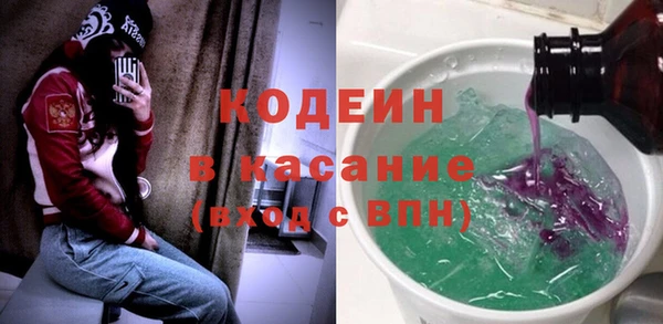 ГАЛЛЮЦИНОГЕННЫЕ ГРИБЫ Гусев