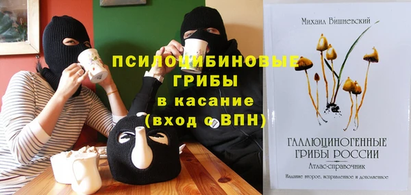 ГАЛЛЮЦИНОГЕННЫЕ ГРИБЫ Гусев